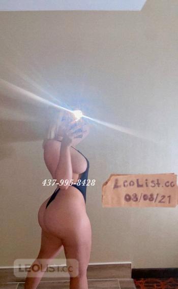 Barbie Upscale Bombshell, 22 Caucasian/White female escort, Kitchener